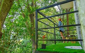 Shell House - Private Stay With Garden View In Arambol Guest House Mandrem India